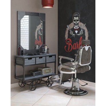 Salón Barber