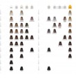 Carta de Color Nirvel Artx