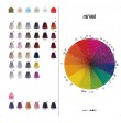 Carta de Color Nirvel Artx