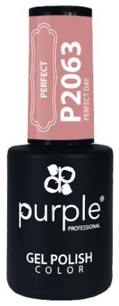 p 9 6 9 3 9693 GEL POLISH PURPLE P2063 GEL POLISH PURPLE P2063