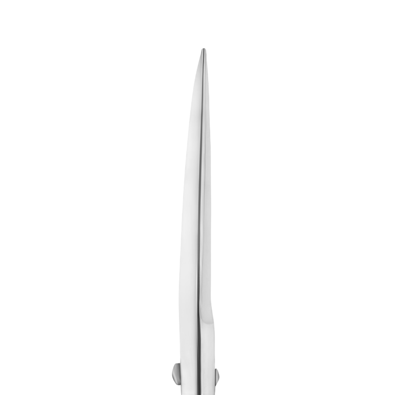 12906 tijeras expert 30 tipo 1 staleks 1 Tijeras profesionales para modelado de cejas EXPERT 30 TIPO 1 Staleks - Imagen 2