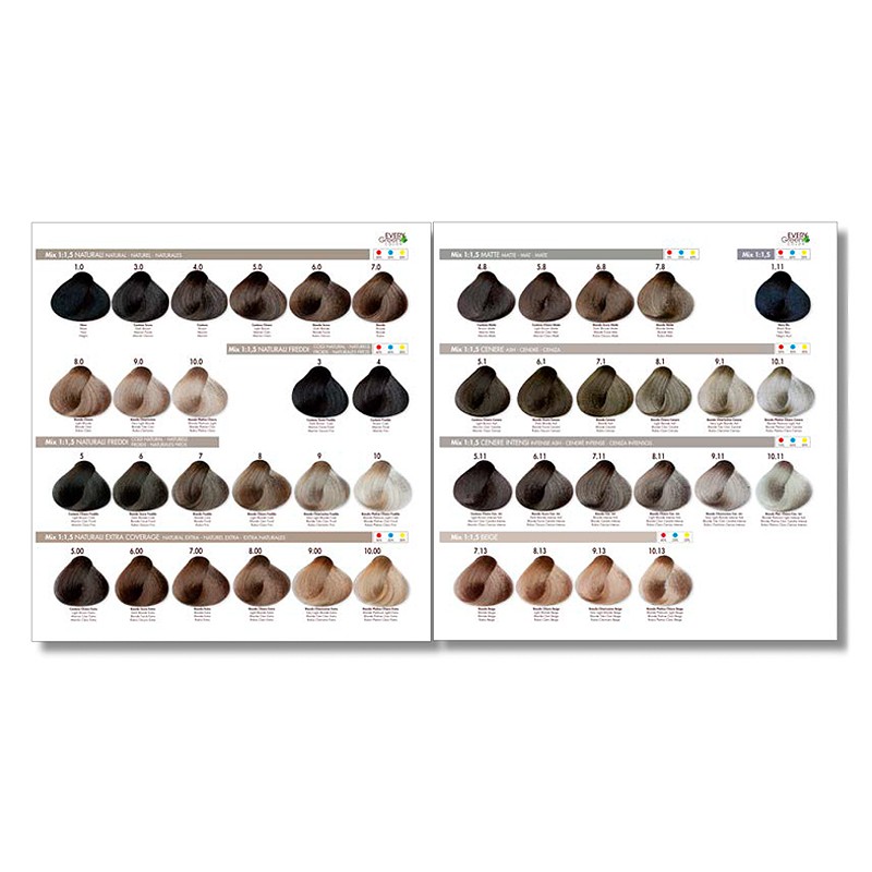 carta color tinte everygreen plex 1 1 Tinte Color Plex Vegano Sin PPD 100ml EveryGreen - Imagen 2