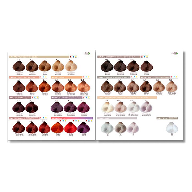 carta color tinte everygreen plex 2 1 Tinte Color Plex Vegano Sin PPD 100ml EveryGreen - Imagen 3