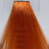 TINTE NATURAL CONCEPT BIOPYGMA 100ML Nº1.0