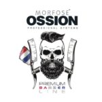 logo ossion